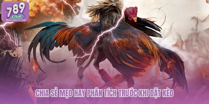 chia-se-meo-hay-phan-tich-truoc-khi-dat-keo chia-se-meo-hay-phan-tich-truoc-khi-dat-keo