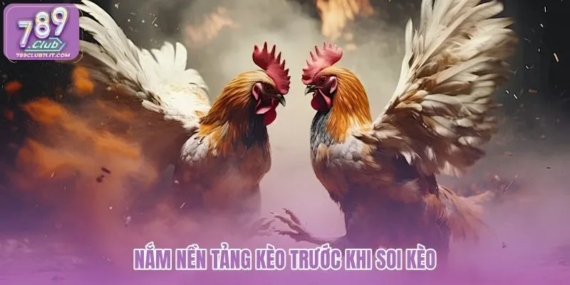 nam-nen-tang-keo-truoc-khi-soi-keo nam-nen-tang-keo-truoc-khi-soi-keo